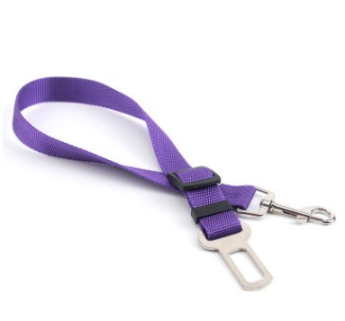 Fixed Strap Polyester Dog Leash – Durable, Comfortable & Safe Dog Walking Lead