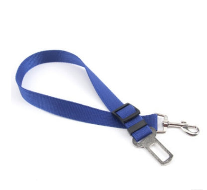 Fixed Strap Polyester Dog Leash – Durable, Comfortable & Safe Dog Walking Lead