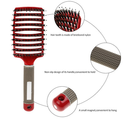 Detangler Hair Brush for Women, Nylon Bristle Scalp Massage Comb