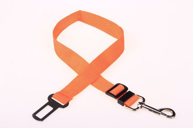 Fixed Strap Polyester Dog Leash – Durable, Comfortable & Safe Dog Walking Lead