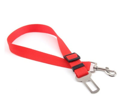 Fixed Strap Polyester Dog Leash – Durable, Comfortable & Safe Dog Walking Lead