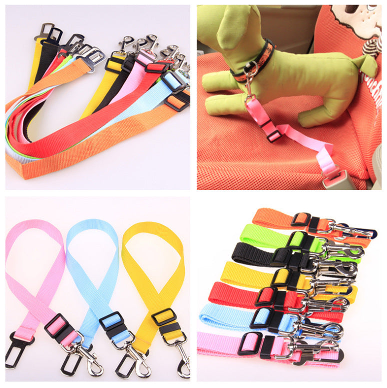 Fixed Strap Polyester Dog Leash – Durable, Comfortable & Safe Dog Walking Lead