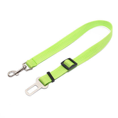 Fixed Strap Polyester Dog Leash – Durable, Comfortable & Safe Dog Walking Lead
