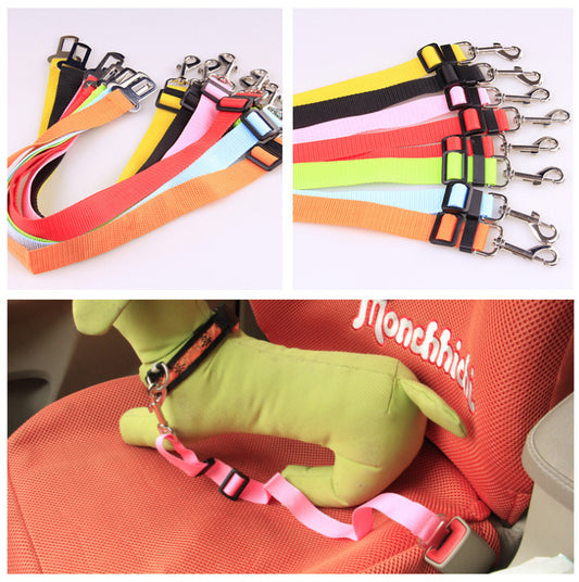 Fixed Strap Polyester Dog Leash – Durable, Comfortable & Safe Dog Walking Lead