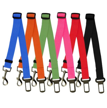 Fixed Strap Polyester Dog Leash – Durable, Comfortable & Safe Dog Walking Lead