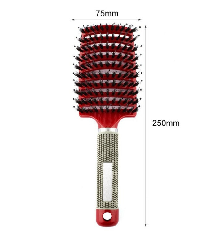Detangler Hair Brush for Women, Nylon Bristle Scalp Massage Comb
