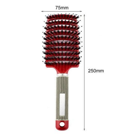 Detangler Hair Brush for Women, Nylon Bristle Scalp Massage Comb