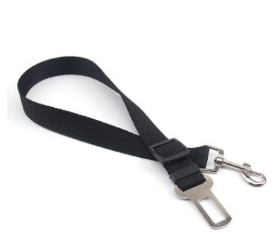 Fixed Strap Polyester Dog Leash – Durable, Comfortable & Safe Dog Walking Lead