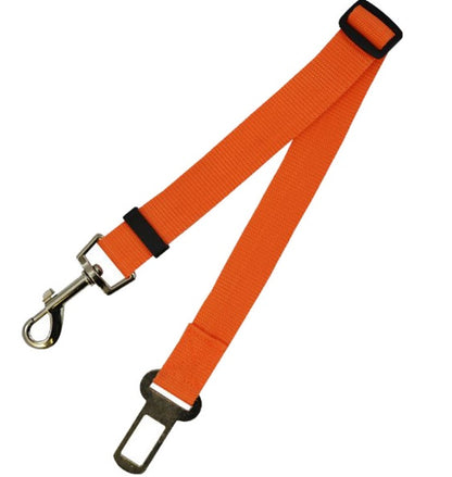 Fixed Strap Polyester Dog Leash – Durable, Comfortable & Safe Dog Walking Lead
