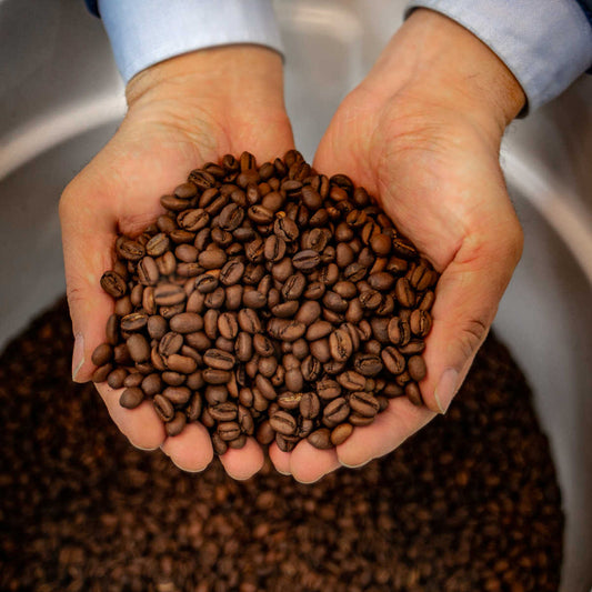 Enzyme Fermented Coffee 12oz (340g)
