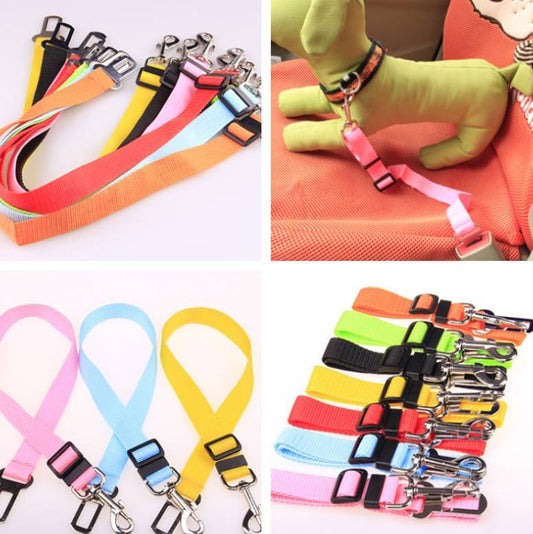 Fixed Strap Polyester Dog Leash – Durable, Comfortable & Safe Dog Walking Lead