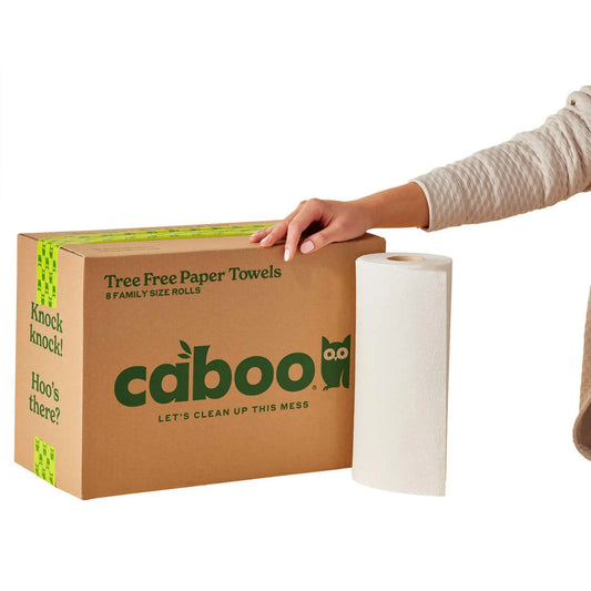 Caboo Bamboo Paper Towels, 2-ply, 120 Sheets, 8 Rolls